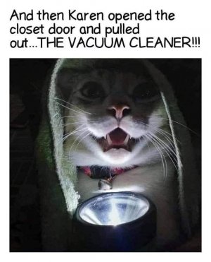 cattitude7.jpg