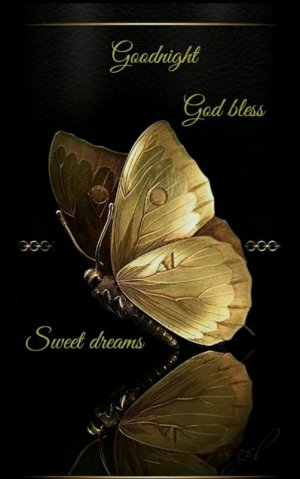 6573fbb19d9aa1366bd65de2384d6538.jpg