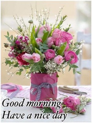 FB_IMG_1699904447662.jpg