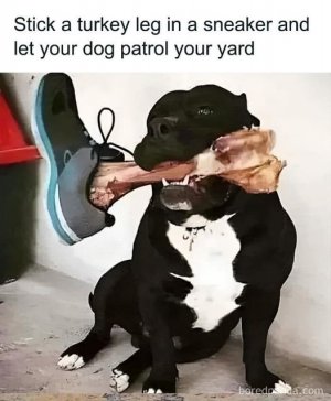 urkey leg dog.jpg