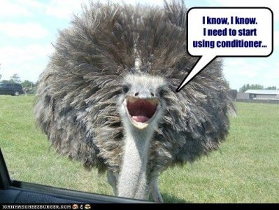 animal3.jpg