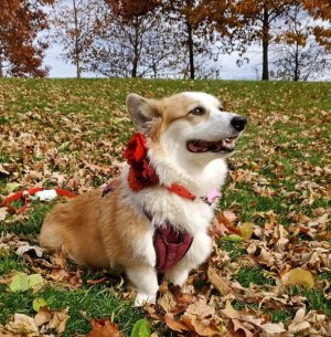 Autumn.2023.jpg