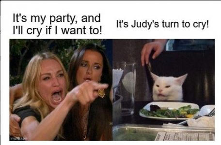 cat1.JPG