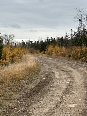 IMG_3087.jpeg