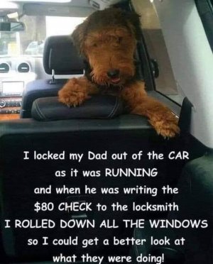 IMG_5392.jpeg