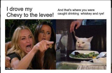 cat3.JPG