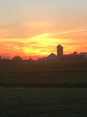 sunset.jpg