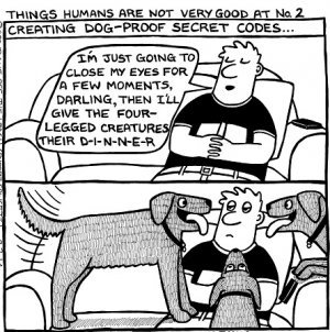 dog codes.jpg