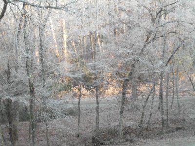 wreath from Sue 005.JPG