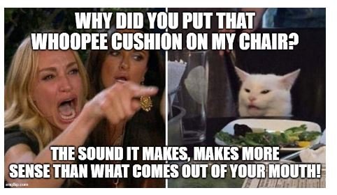 cat4.JPG