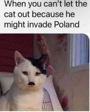 IMG_5403.jpeg