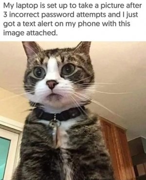 401381764_10223498622550087_4179397489975987560_n.jpg