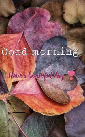 52998e8ddb9f7c0142d8fa096f9a92ee[1].jpg