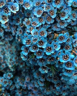 tumblr_512f828b7da220f9cf8e6dea7aa9bd40_4768362e_540.jpg