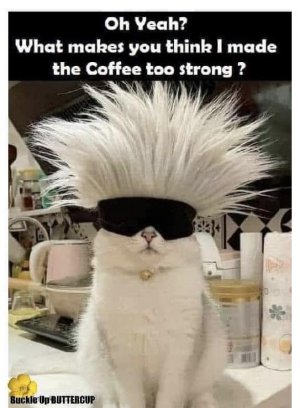 strong coffee.jpg