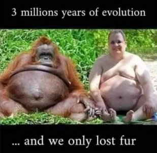 evolution.jpg