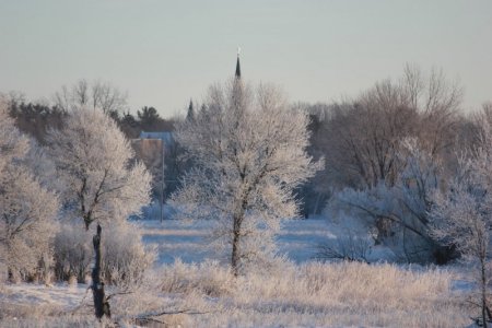 frosty6.JPG