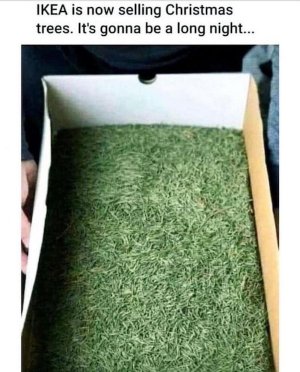 ikeatree.jpg