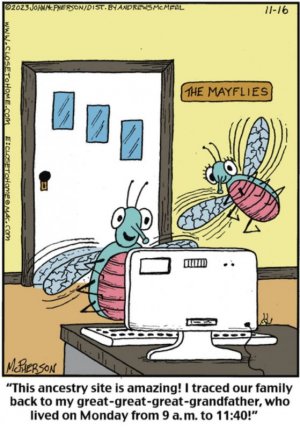 402083163_7194554820557571_8130088211450731475_n.jpg