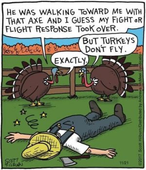 turkeys.jpg