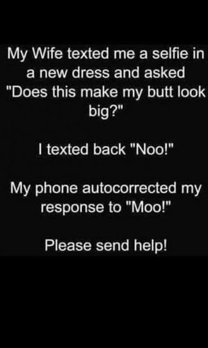 moooooo.jpg