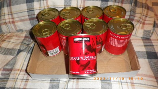 IMGP0195.JPG