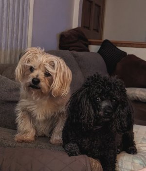 rusty&angel.jpg