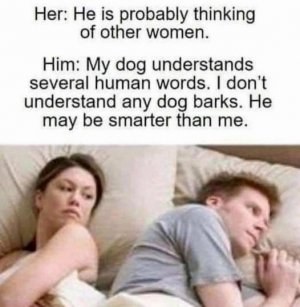 1.jpeg