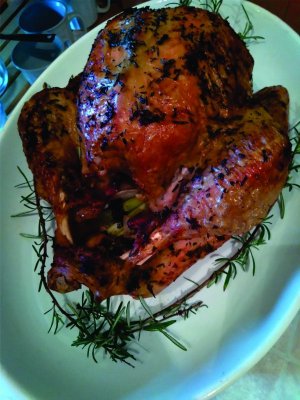 Last years turkey.jpg