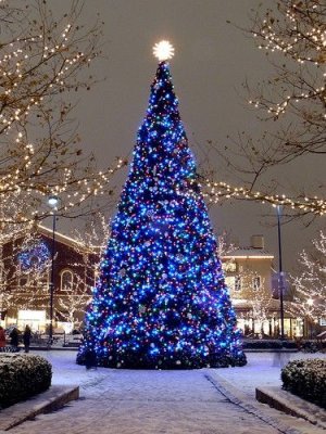 IMG_3129.jpeg