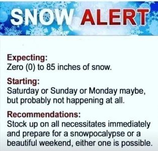 alert.jpg
