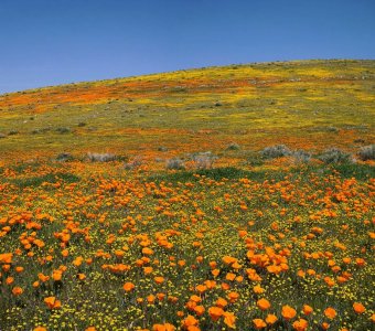 SJ06053-06087-2x1vy.jpg SJ06053-06087-2x1vy.jpg