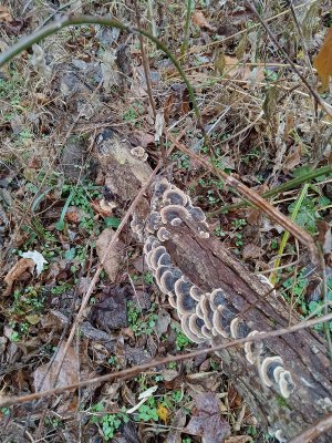 20231120_122855.jpg 20231120_122855.jpg