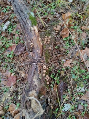 20231120_122833.jpg 20231120_122833.jpg