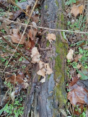 20231120_122825.jpg 20231120_122825.jpg