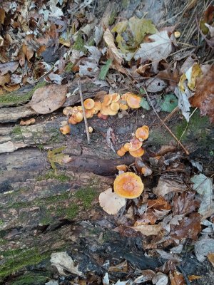 20231120_122748.jpg 20231120_122748.jpg