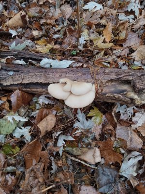 20231120_122633.jpg 20231120_122633.jpg