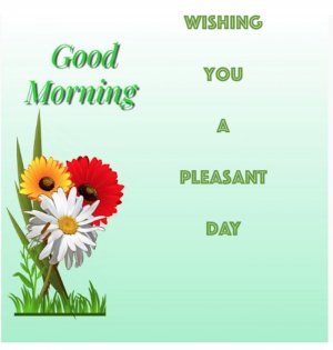 Good Mornimg pleasabt.jpg