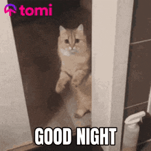 tomi-tominet.gif