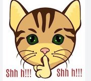 Shh cat copy.jpeg