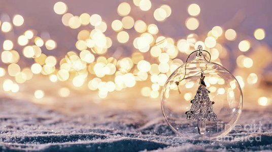 christmas-glass-ball-with-tree-in-it-on-winter-background-michal-bednarek.jpg