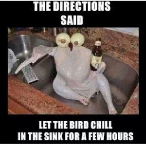 CHILL IN SINK.jpg