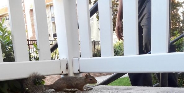 Joe & Squirrel.jpg