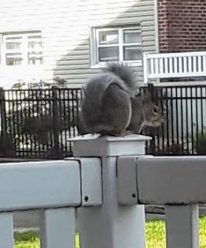 20180823_082402.jpg