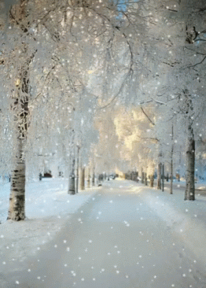 snow in winter.gif