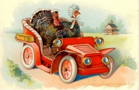 turkeys in car.jpg