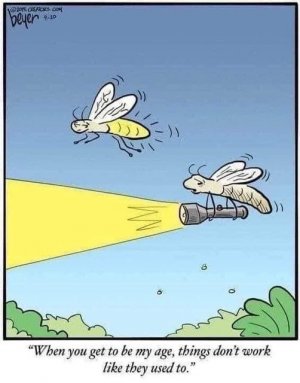flash.jpg
