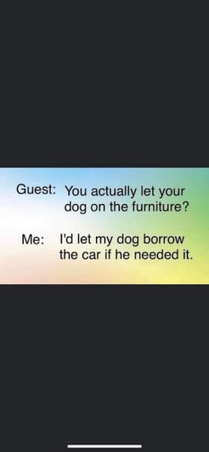 FB_IMG_1695781266402.jpg