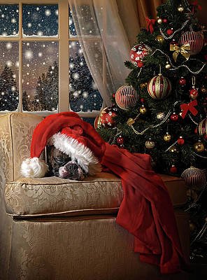 waiting-for-santa-ddiarte.jpg