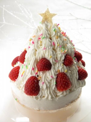 christmas-1065578_1280.jpg